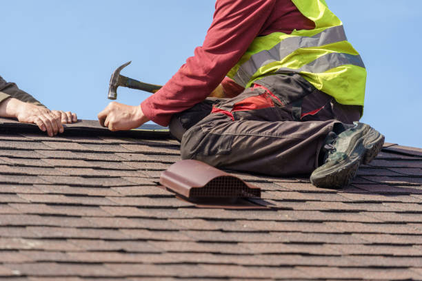 Best Roof Gutter Cleaning  in Reynoldsville, PA