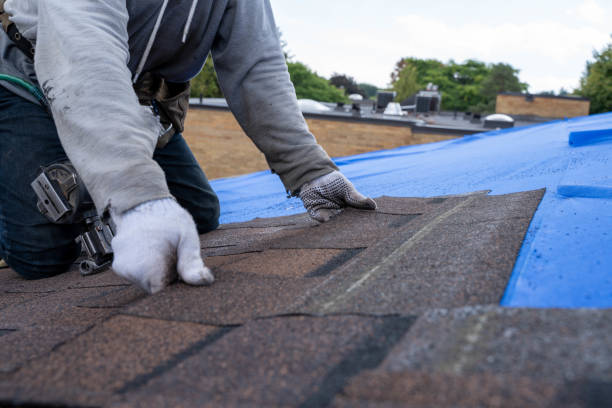 Best New Roof Installation  in Reynoldsville, PA