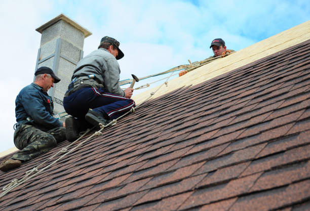 Best Roof Leak Repair  in Reynoldsville, PA